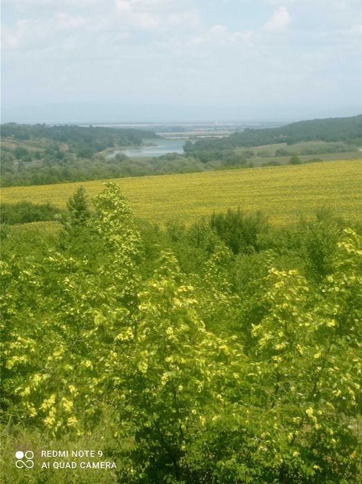 Продава се Земеделски имот в Асеновград -  кв.м за 21675 €/дка - Снимка #2