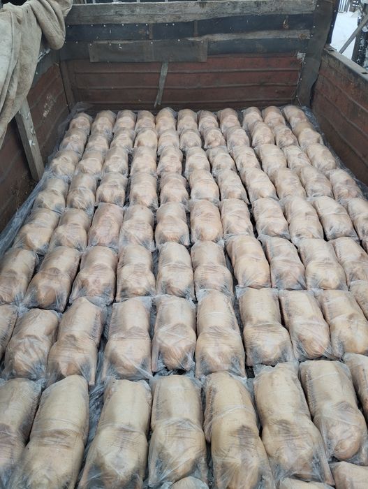 Свежие тушки гуся