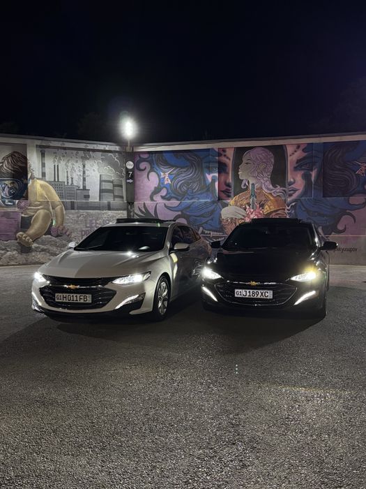 Rent car прокат авто