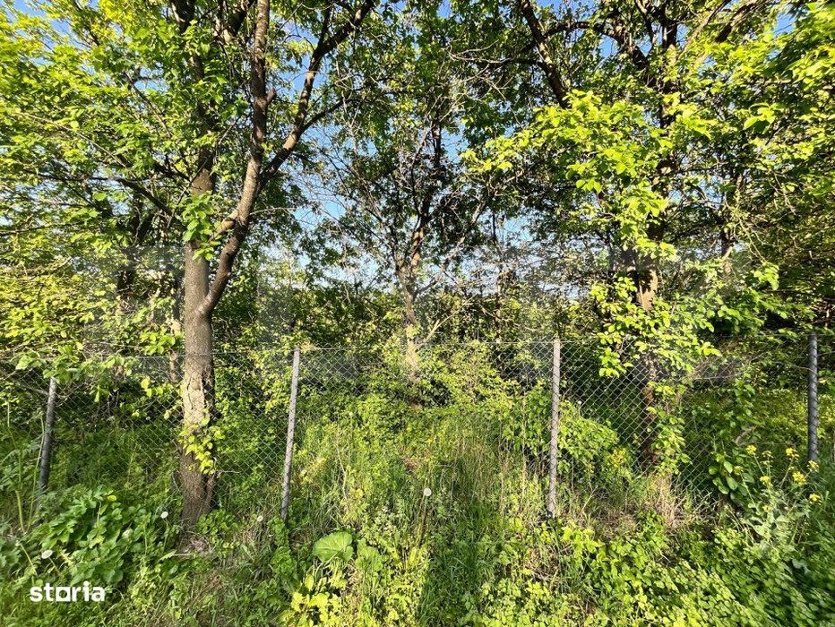 Teren intravilan ,cu vegetatie, 2700 mp, zona Siret