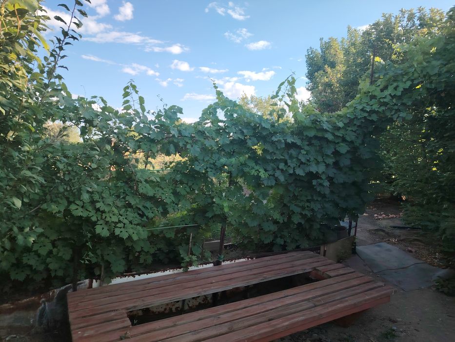 Продам Дачу на ПК Здравница