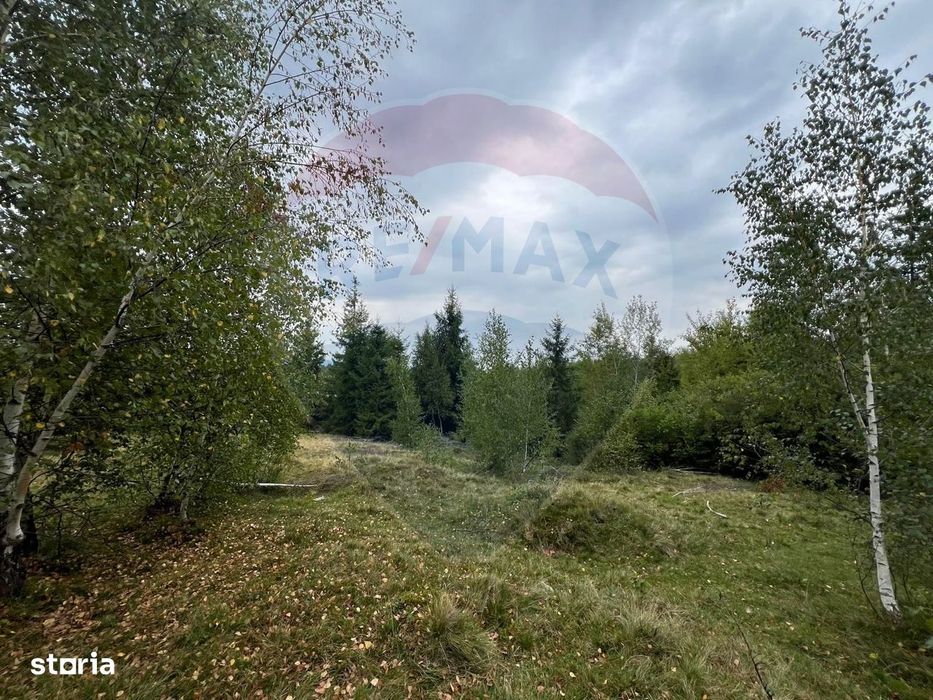 Teren extravilan parcelabil Călățele Pădure, zona Dealu Negru