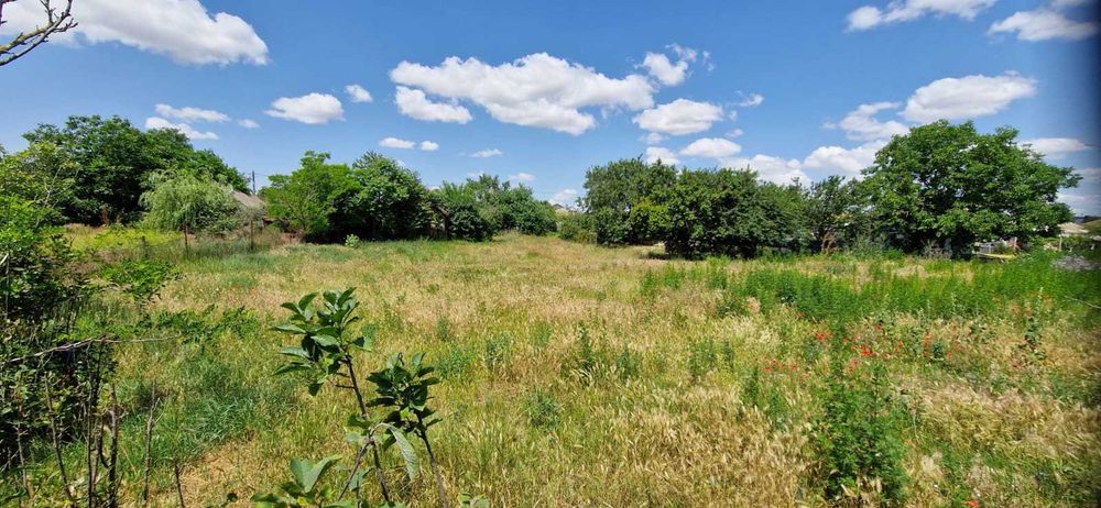 Vand teren intravilan in Vadu, Constanta –  1100 mp