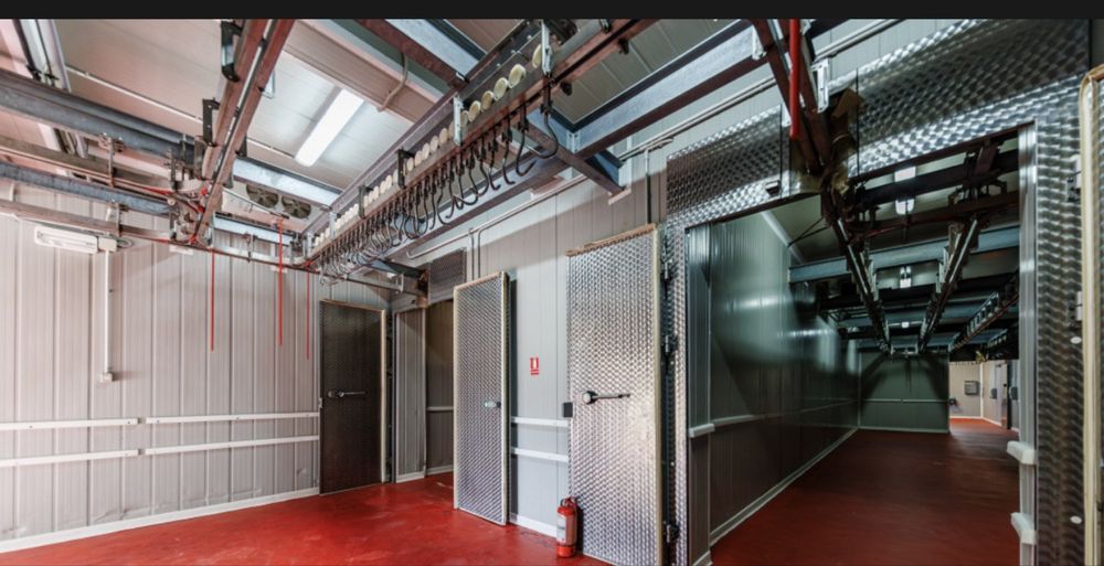 Linie aeriana inox incarcare / descarcare pentru transare, maturare