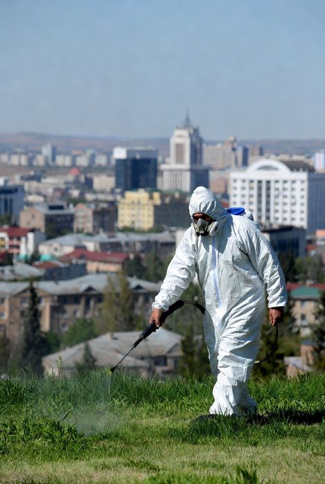 Уничтожение Клещей Оброботка участка