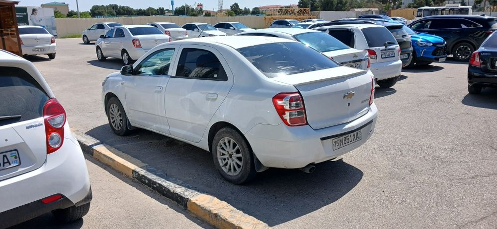 Srochna koblt sotiladi yili 2023