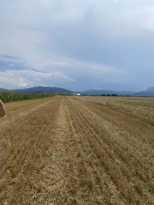 Teren la drum, 6900mp