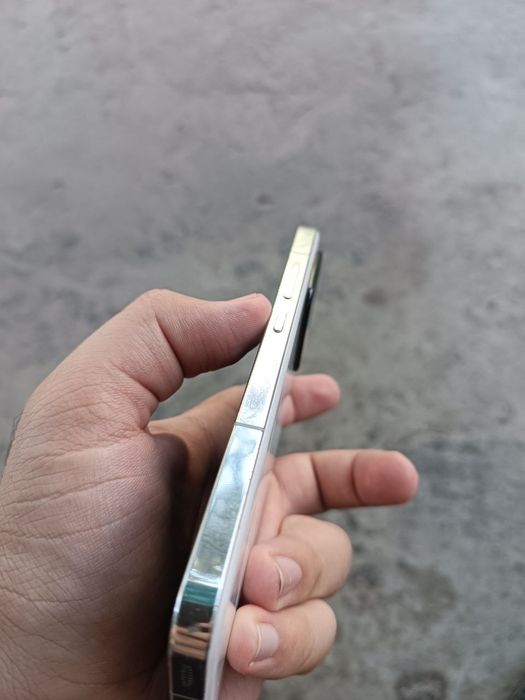 Xiaomi 13 12/256
