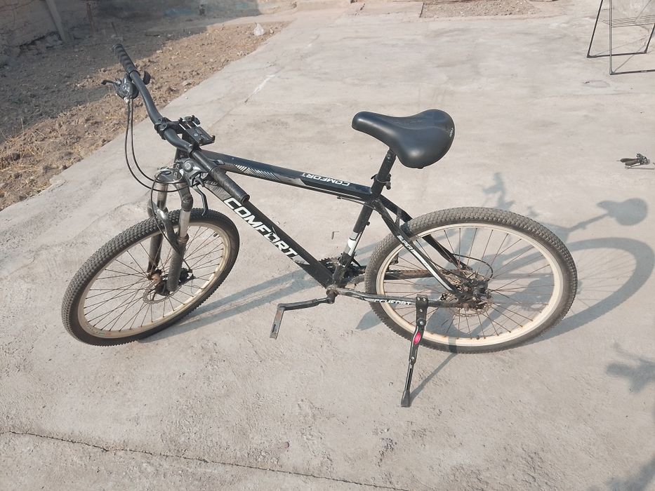 Skorsli velik sotiladi