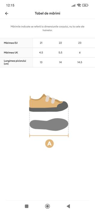 Tenesi noi sinsay măsură 23