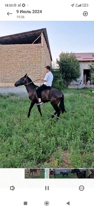 Er sotiladi 12.5 sotix 125000 $