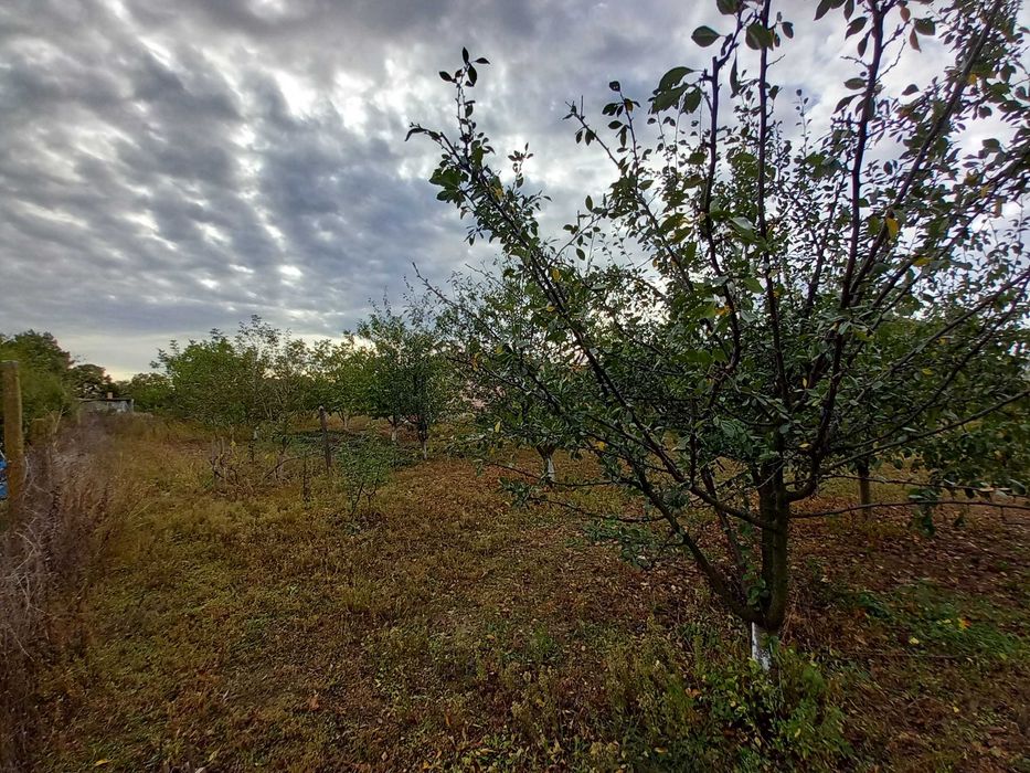 Продава се Къща в Разград, Бели Лом - 104 кв.м за 344 €/кв.м - Снимка #19