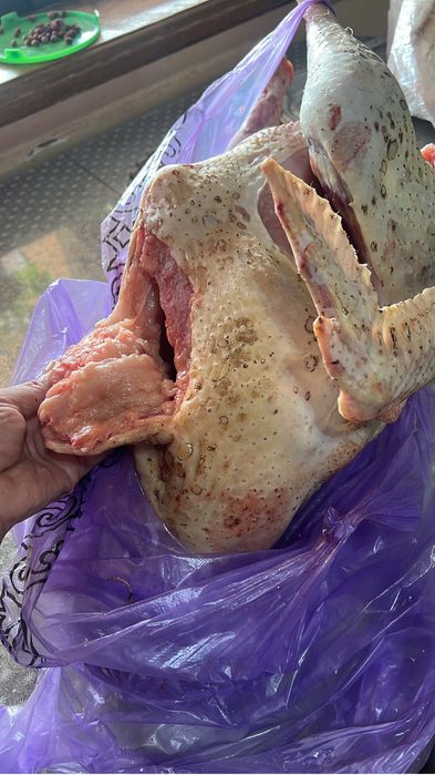 Күркетауық еті сатылады