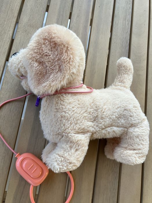 Noriel Pets catel interactiv