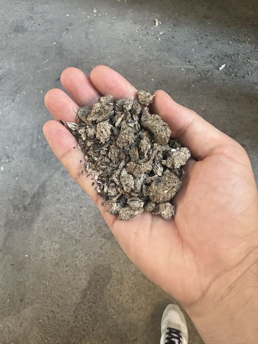 Семичка шрот протеин 39% pista shrot Keles