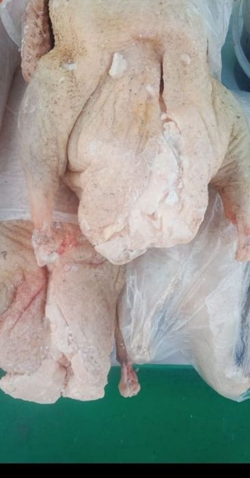 Гуси  утки куры индейка