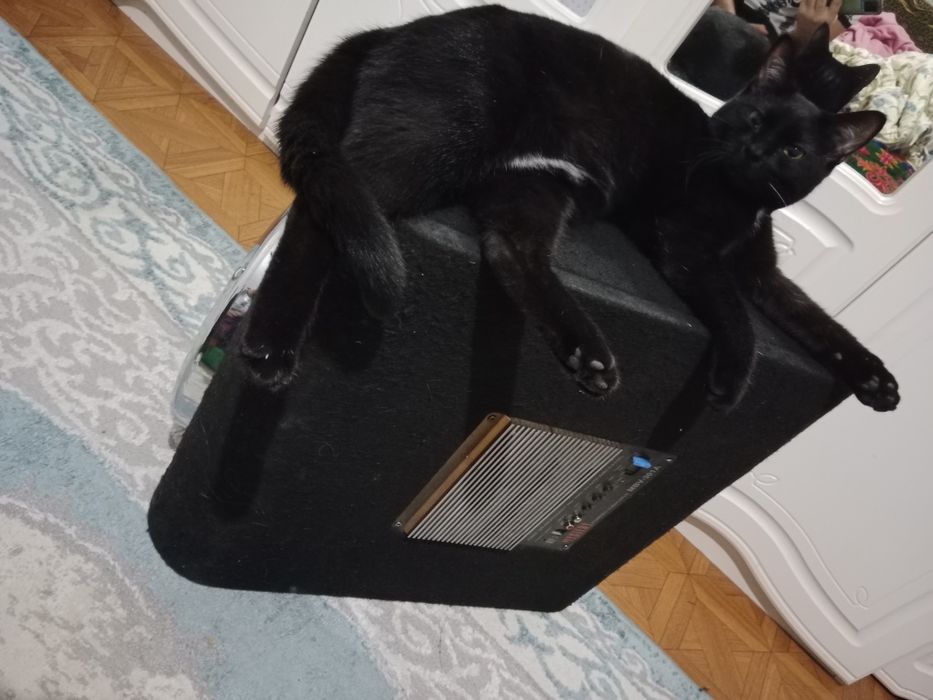 Продам буфер Mystery