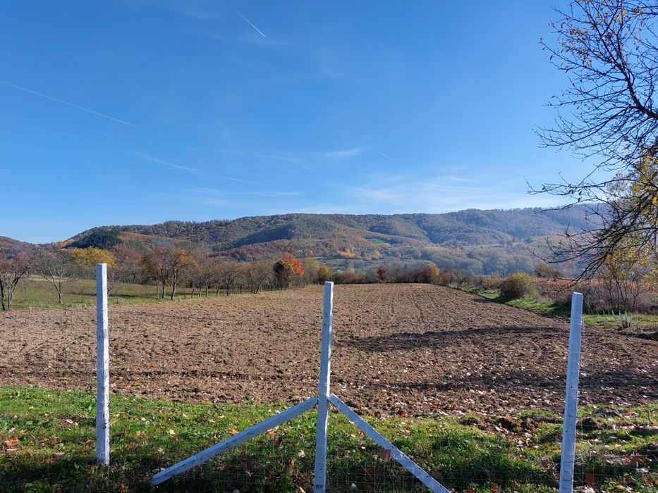 Surduc, teren curti si gradina, 4.316 mp in localitatea Fardea