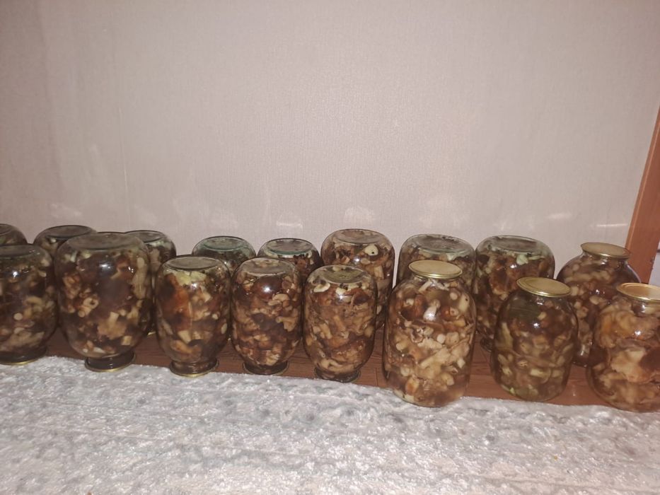 Продаем грибы валуи