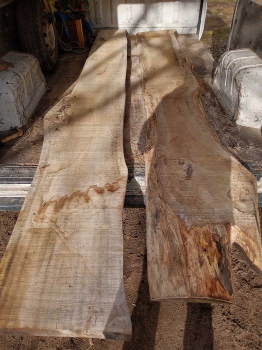 Талпи орех янове