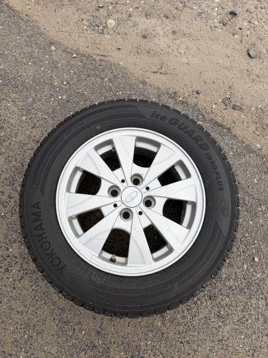 14 ромашка идеальном состоянием