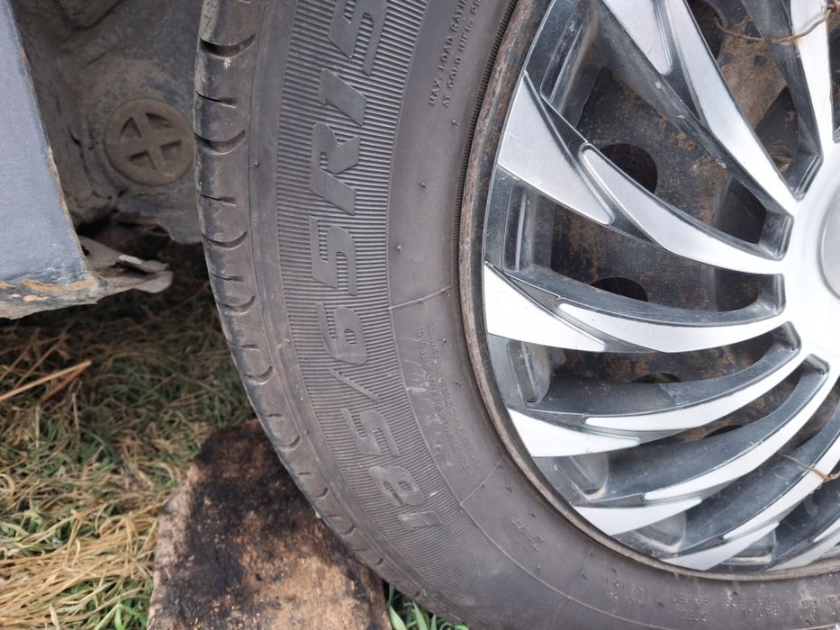 Галант на разбор