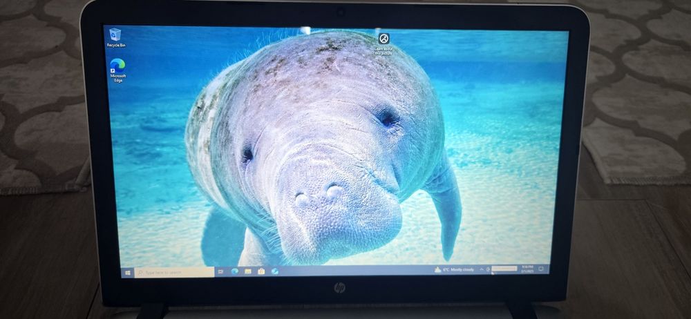 HP pavilion 17.3", i56200U, SSD