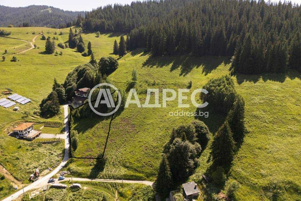 Продава се Парцел в с. Проглед, Област Смолян - 1325 кв.м за 48 €/кв.м - Снимка #6