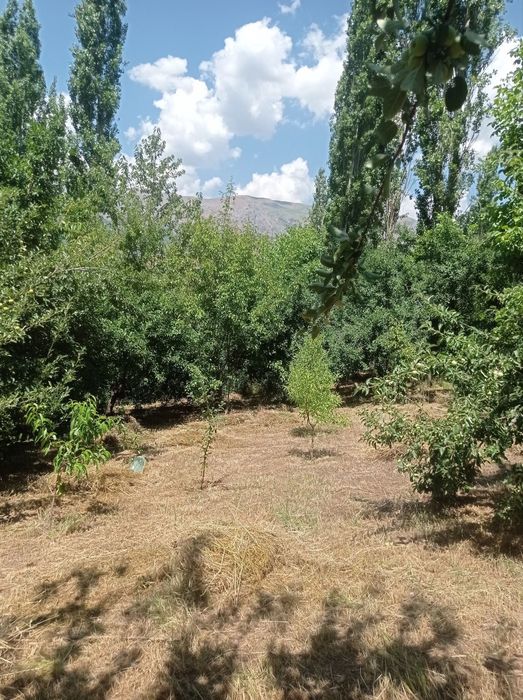 10 соток ер сотилади