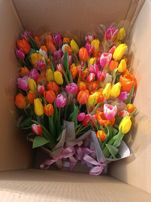 Корпоративные букеты, тюльпаны