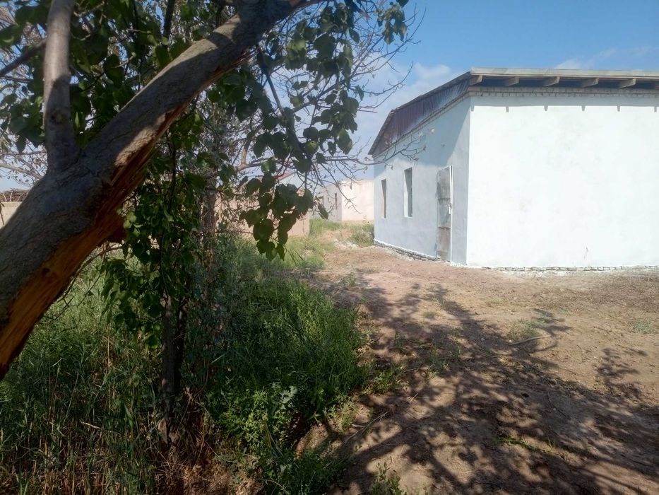 Говук кулда жой сотилади