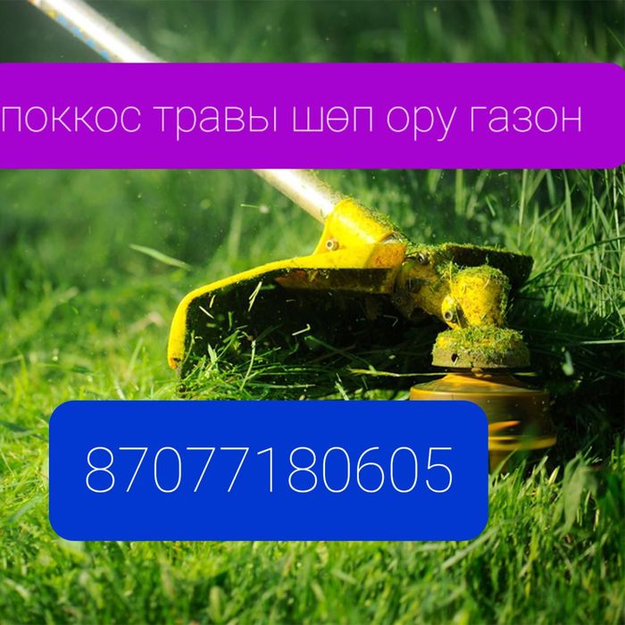 Поккос территории участка косим газон бережно аккуратно и чисто звонит