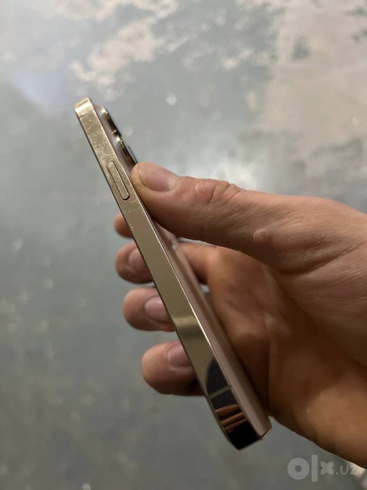 Iphone 13 pro radnoy