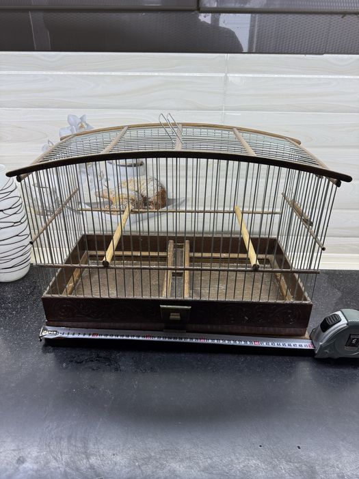 Ёнгокдан ясалган кафасла сотилади