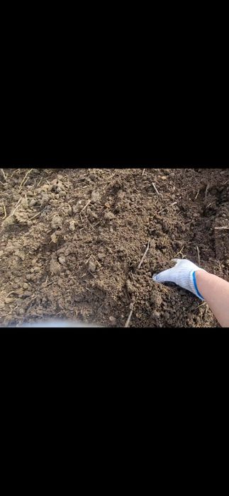 Перегной, навоз, чернозем