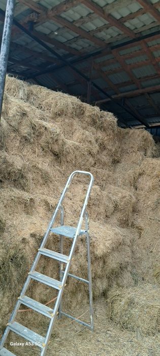 Vand Baloti Lucerna coasa 1 si coasa 2