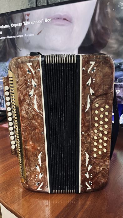 Гармошка с футляром.