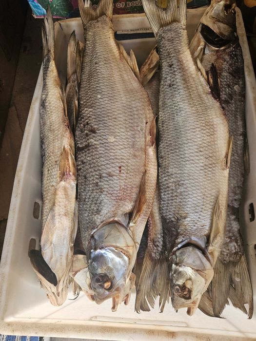 Вяленный жерех...