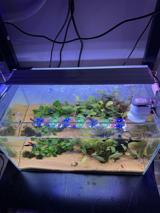 Аквариум комплект