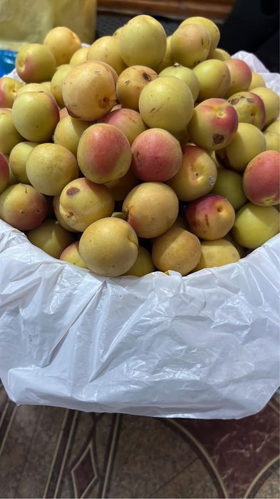 Продам дачный участок