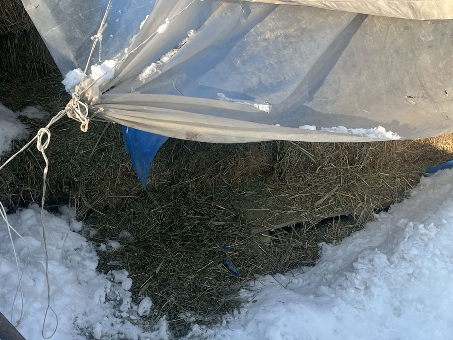 Пресс шоп жанышка