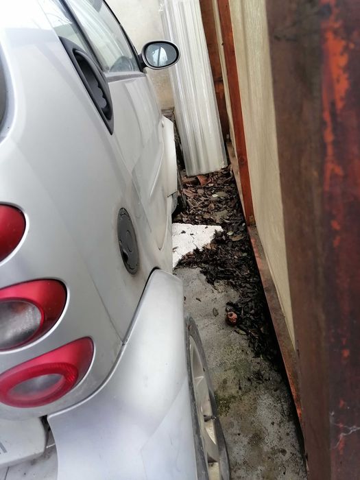 SMART 250 motorina cu 2 locuri