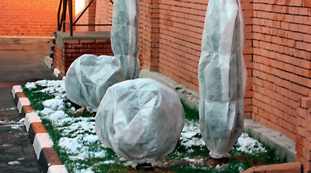 Богбон, Садовник подготовка к зиме.