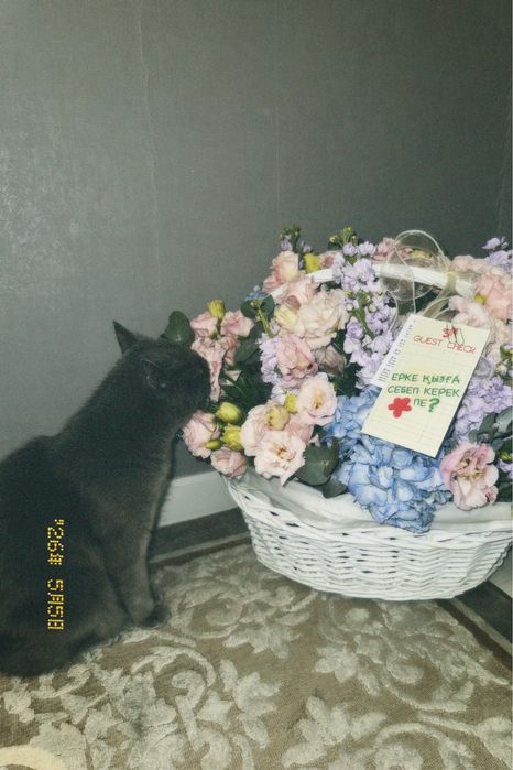 Корзина с цветами