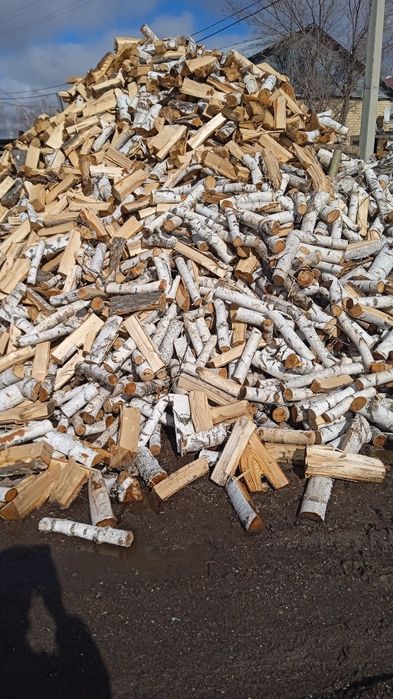 Астана: Дрова берёза, колотые чурки