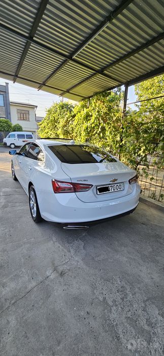 Malibu 2.4 Primer