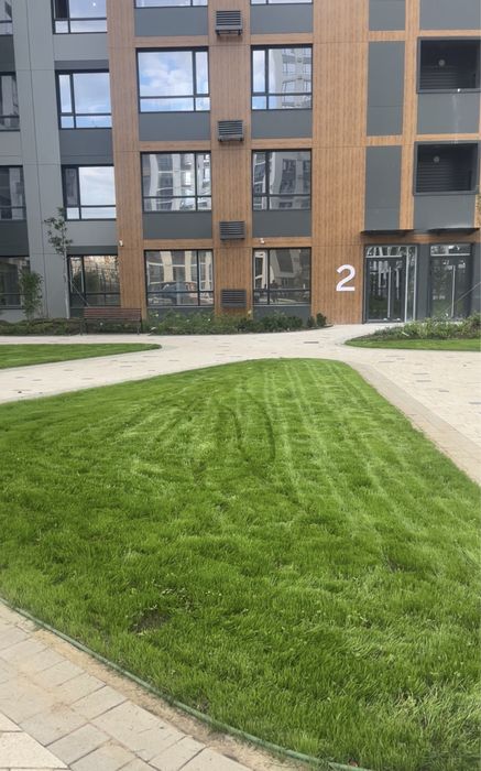 Посев газона от 1500