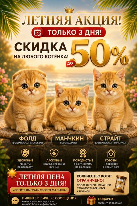 Летняя цена , Манчкин