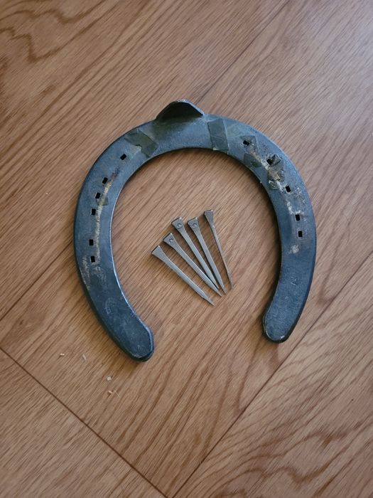 Подкова Настоящая !
