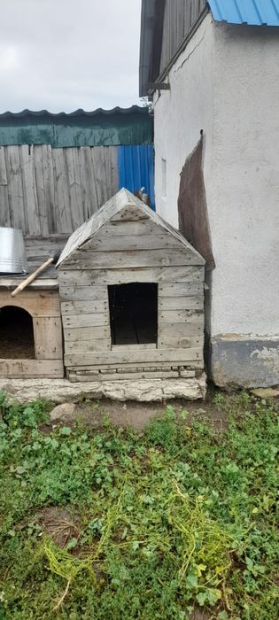 Продам будку для собаки